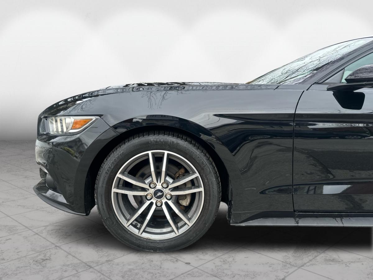 2015 Ford Mustang Fastback EcoBoost Image principale